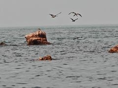 -蓬莱阁景区