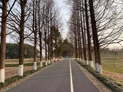 -良渚古城遗址公园