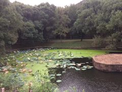 -东湖落雁景区