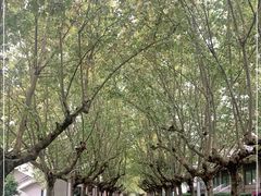 -四川农业大学(雅安校区)