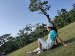 -大屏嶂森林公园