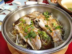 滑嫩清蒸鲈鱼-宏状元现熬粥·京味菜(五棵松店)
