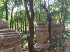 -西安大兴善寺