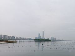 -金鸡湖景区