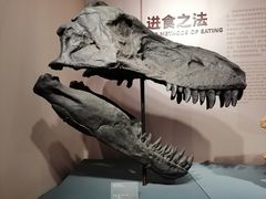 -自贡恐龙博物馆