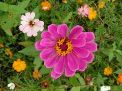 -桤木河湿地公园