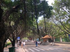 -南沙天后宫景区