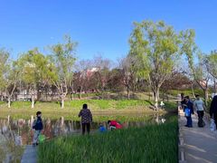 -泰州凤城河风景区-泰山公园