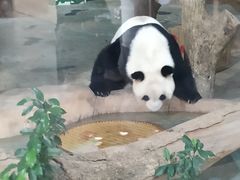 -南宁市动物园