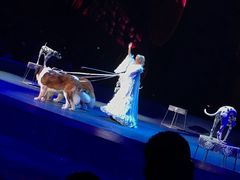 -珠海横琴长隆《卡卡虎奇遇记》