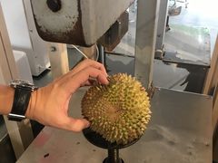 -都念榴莲·城市榴莲