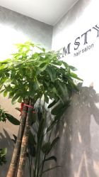 -JM STYLE造型明星.网红