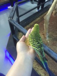 -未来动物城动物主题公园(大悦城店)