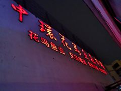-中环花鸟鱼虫市场