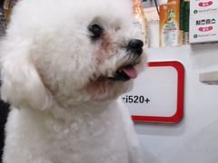 -帕帕拉兹宠物(亚洲旗舰店)