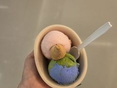 -极拉图·现制冰淇淋(大卫城店)