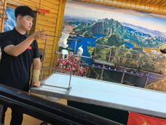 -燕塞湖鸟语林景区