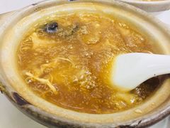 招牌花胶海参煲仔-添發碗仔翅美食