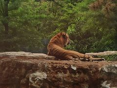 -秦皇岛野生动物园