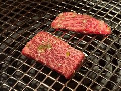 红肉组合-气力苑(师惠邻里中心店)