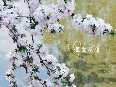 -海棠花溪(元大都城垣遗址公园)