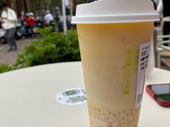 杨枝甘露-奈雪的茶(大梅沙8号仓店)