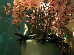 -雀蓝川菜(星悦汇店)