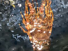 -盒马鲜生(悦峰店)