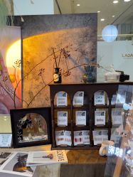 -鲸彩·美甲美睫科技护肤