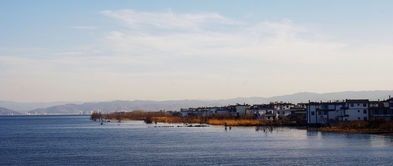 -才村湿地公园