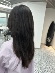 -天使之手plus