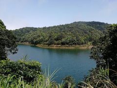 -广州市石门国家森林公园