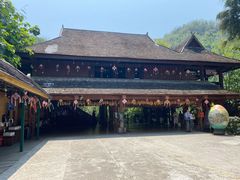 -西双版纳原始森林公园