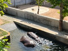 -西霞口神雕山野生动物世界