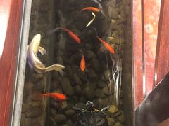 -印象江南(东栅店)