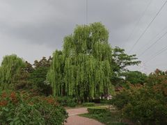 -黑龙江省森林植物园