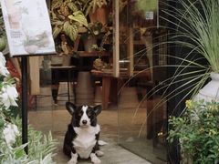 -自由生长植物工作室(深港花卉中心店)