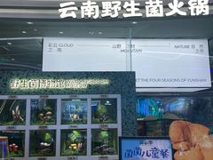 -芸山季·云南山珍菌火锅(南翔印象城MEGA店)