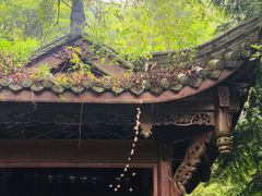 -凤栖山
