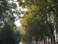 -厝内小眷村(合肥华府骏苑店)