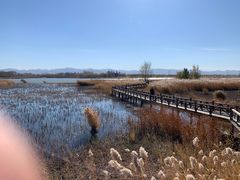 -野鸭湖国家湿地公园
