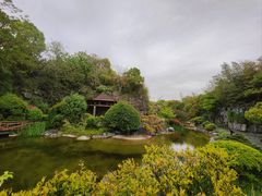 -上海吴淞炮台湾国家湿地公园