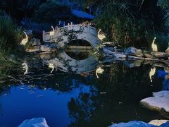-广西壮族自治区药用植物园