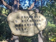 -香山公园