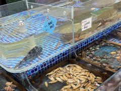 -天盛海鲜烧烤大排档·本地小海鲜·牟平腿穗子(幸福店)