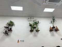 -沪依小酒馆心意菜