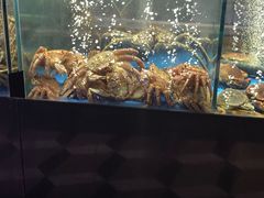 -蟹之国·精品蟹料理(极地店)