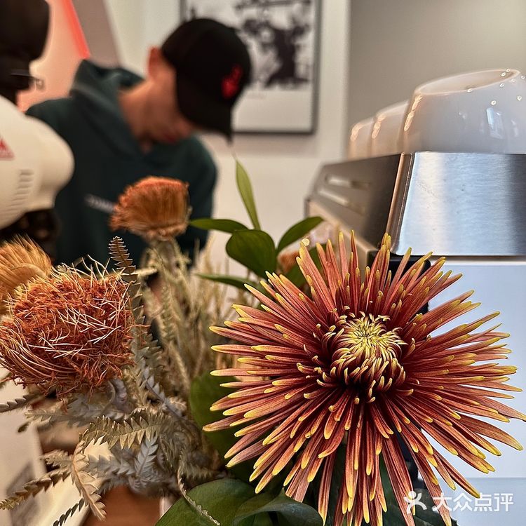 十几个朋友推荐的小众咖啡，果然没让我失望……
