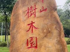 -中山市树木园