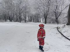 -雾凇岛